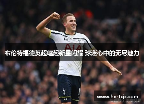 布伦特福德英超崛起新星闪耀 球迷心中的无尽魅力 布伦特福德英超崛起新星闪耀 球迷心中的无尽魅力